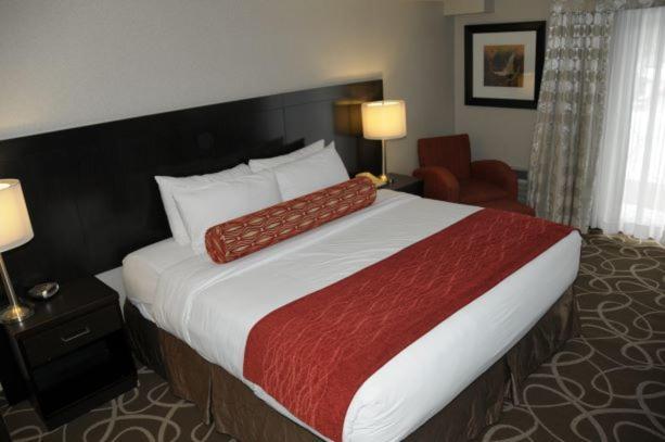 Admiral Hotel 3*