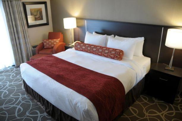 Hotel Admiral